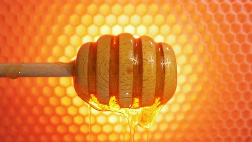 Fresh Honey on Wooden Honey Spoon