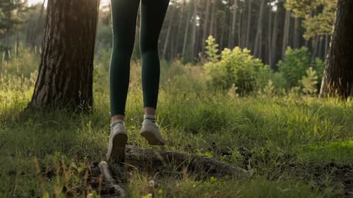 Woman Runs on Grass in Forest at Sunset