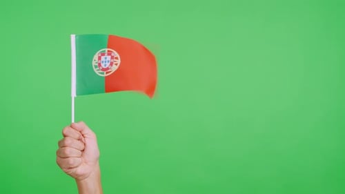 Hand Holding a Waving Flag on Green Screen