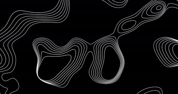 Abstract animated outline topographic contour map. Moving waves on ...