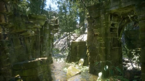 Ancienne maison en pierre en ruine envahie de plantes et de fougères dans une forêt verdoyante
