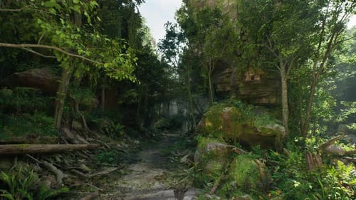 Dirt Road Surrounded By Trees and Rocks Mountain Path