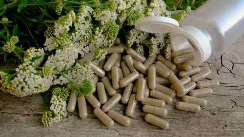 Herbal Supplement Capsules with Yarrow Plant on Wood
