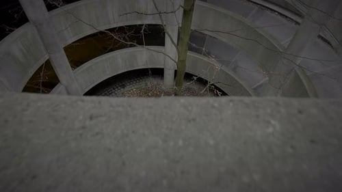 Lifestyle Portrait of Two Young Women Watching Tower Building Together