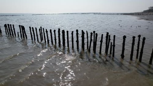 old wooden posts left in sea Fish traps on river Blackwater West Mersea Essex drone aerial footage