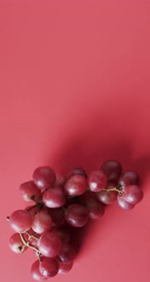 Vertical video of red grapes with copy space on red background