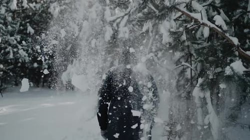 A lot of snow falling down from the pine tree branch on man