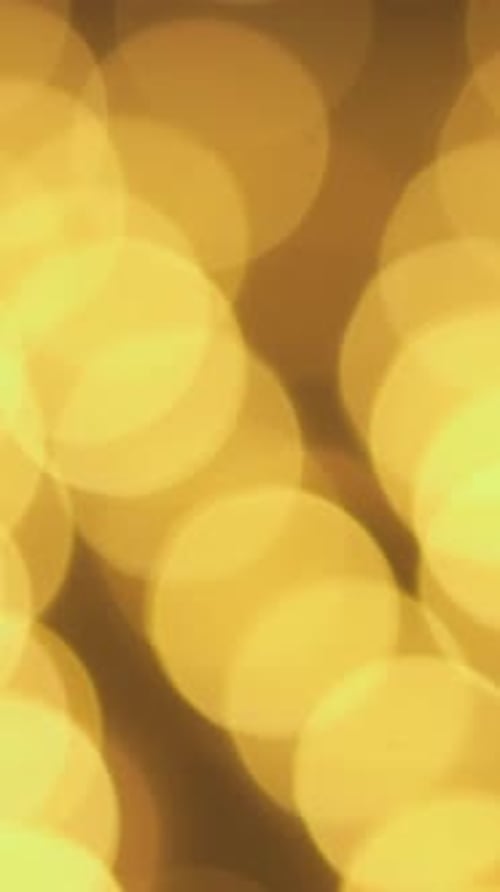 Luces festivas Una conmovedora celebración de Navidad y Año Nuevo que abarca tradiciones y