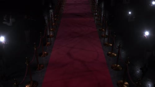 Loop camera rolling along red carpet path with barriers.Scene illuminated by the flashes paparazzi