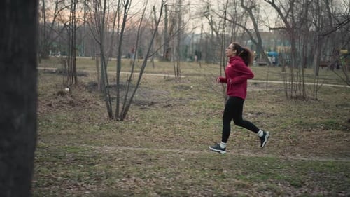 Jogging Past Shrubs During Sunset Journey Side View Of Runner During Twilight Moving Past Sparse