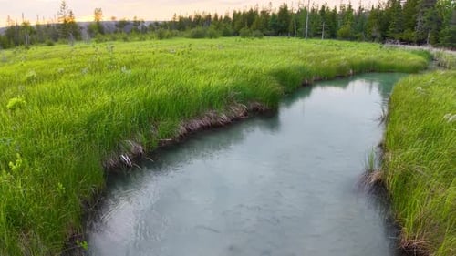 Aerial drone footage of a narrow river flowing through vibrant green forest landscape.