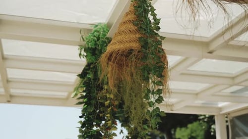 Tropical Decoration Hanging Beneath Pergola