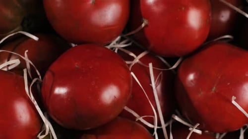 Colorful Organic Tomatoes Mix Tomatoes Background Several Varieties of Sliced Tomatoes Top View