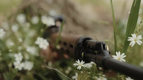The Sniper Hid in the Grass and Aimed