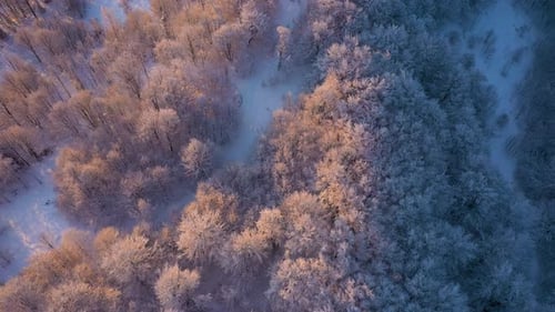 Winter Sunrise Above The Mountain Forest 9