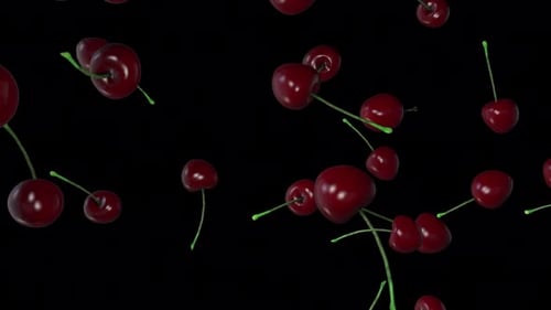 Seamless Loop of Falling Red Cherries Animation