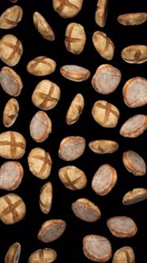 Vertical Round Rye Bread Falling Loop on Alpha