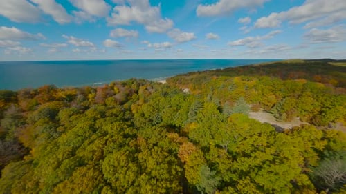 Drohnenaufnahmen aus der Luft, die an einem sonnigen Tag über einen lebendigen Herbstwald fliegen, der an das blaue Meer grenzt