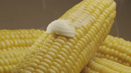 Hot Corn on the Cob with Melting Butter