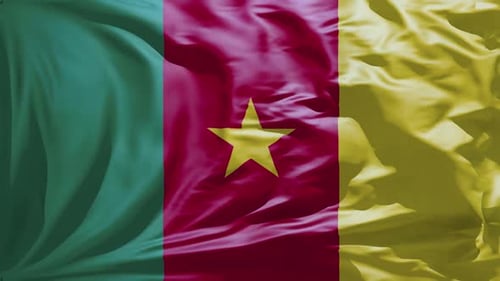 Cameroon National Flag Waving Seamless Loop Animation