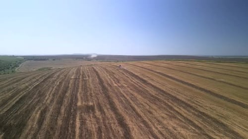 Tractor working on the field doing tillage with cultivator