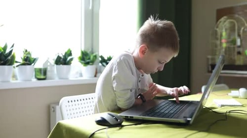 Jeune garçon utilisant un ordinateur portable