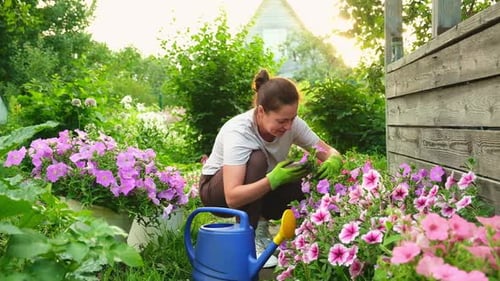 Gardening and Agriculture Concept Young Woman Farm Worker Gardening Flowers in Garden Gardener