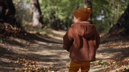 Young Child Walking Down Leafy Autumn Path