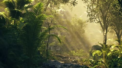 Promenade dans les bois enchanteresse soulignée par la lumière du soleil et un feuillage florissant