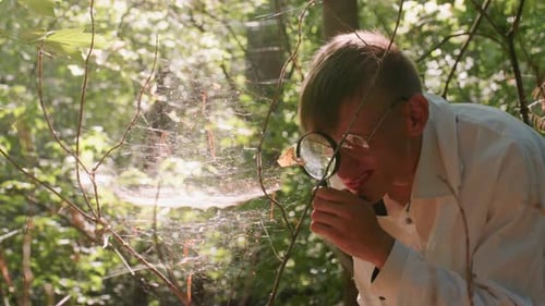 Biologiste observant une toile d'araignée avec une loupe dans la forêt