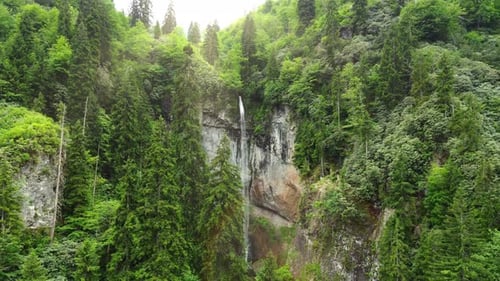 Nature Waterfall in Mountain Green Forest