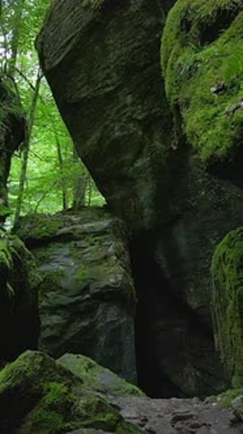Mossy Stone Passageway Nestled Within a Lush and Vibrant Green Forest Environment