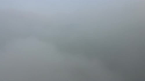 Rainy weather in mountains. Misty fog blowing over pine tree forest. Aerial footage of spruce forest