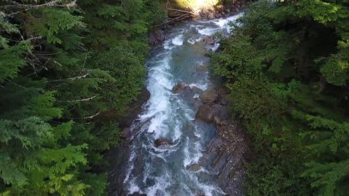 Aerial drone shot of a beautiful stream in the middle of the Canadian forest