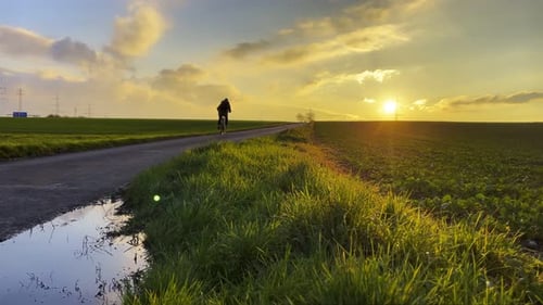 Fahrradfahren und der Sonnenuntergang 4