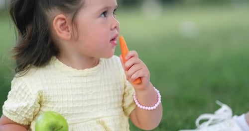 Child Little Caucasian Girl Eating Apple and Carrot in Park at Summer on Lunch Picnic Kid Sitting on
