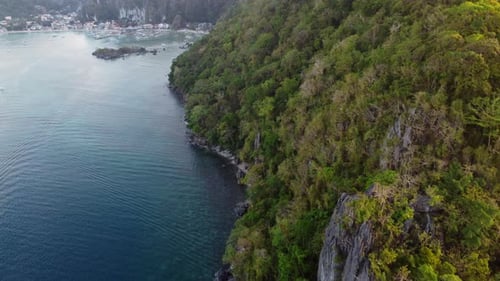 Drone shot of a mountain over turquoise tropical beach