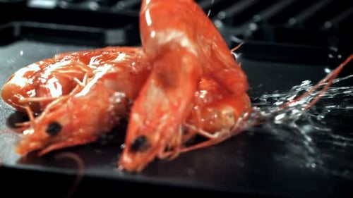 Super Slow Motion Shrimps