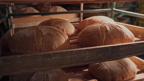 Freshly baked fragrant bread with a ruddy appetizing crust and an interesting pattern. Natural bread