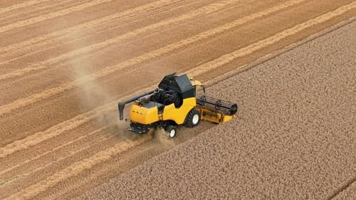 Aerial View of Combine Harvester Harvesting Wheat Field