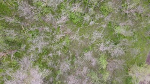 Blue tractor OA working on the field in Ukraine