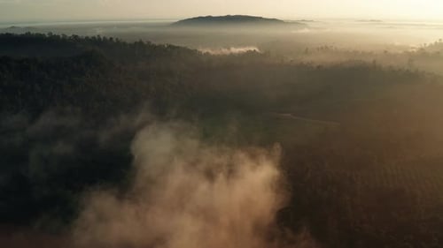 Aerial View of Misty River at Sunrise