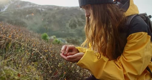 Young Biologist Collecting Wild Berries in the Mountains