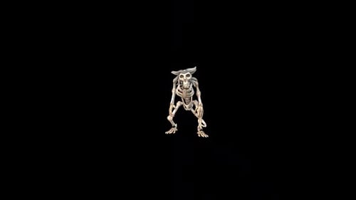 Skeleton Monkey Stand Idle
