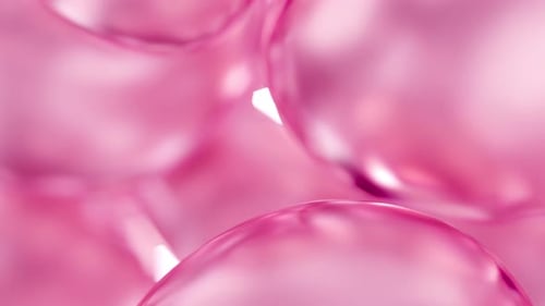 Pink Rose Cosmetic Beauty Care Essential Oil Bubbles Macro Close-Up