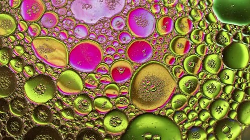 Abstract Colorful And Shiny Oil Bubbles Circles Background 28