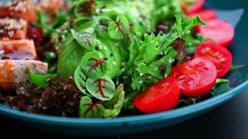 Close-up Dolly Shot of Fresh Salmon Salad