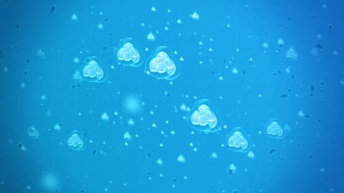 Microscopic Cells Flowing Animation Loop for Science Backgrounds