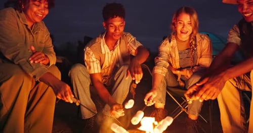 Friends Around Campfire Toasting Marshmallows at Night
