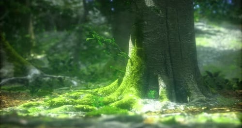 Tranquil Forest Landscape with Sunlight Illuminating an Ancient Tree and Roots